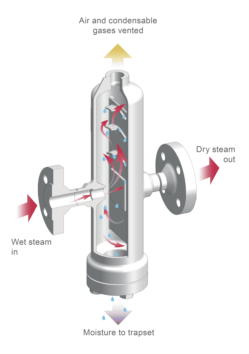 Separador de vapor